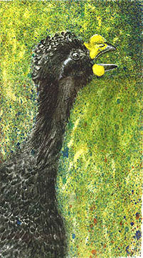 Hokko (&Ouml;lkreide, Aquarell und Spr&uuml;htechnik)